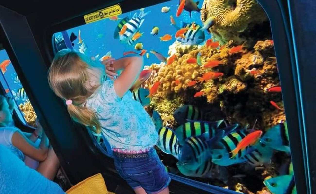 SOTTOMARINO NEL MAR ROSSO